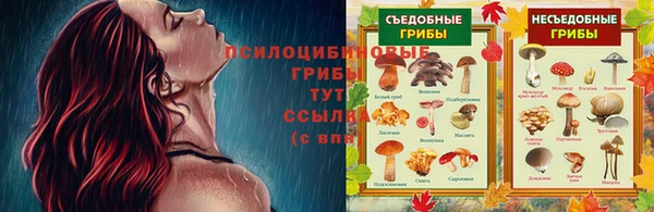 экстази Алзамай