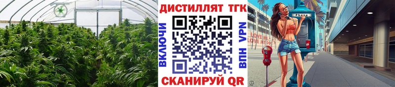 ТГК концентрат хочу блэк спрут зеркало Старая Купавна
