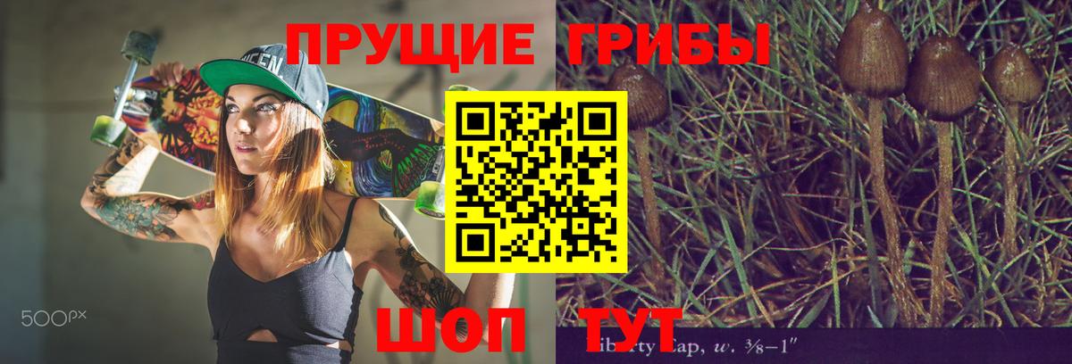 хочу наркоту  Псилоцибиновые грибы мицелий  Вход с VPN  Старая Купавна 