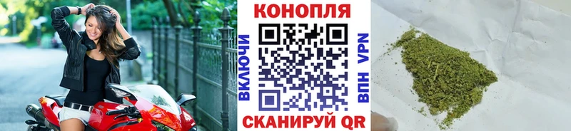Шишки марихуана планчик Старая Купавна